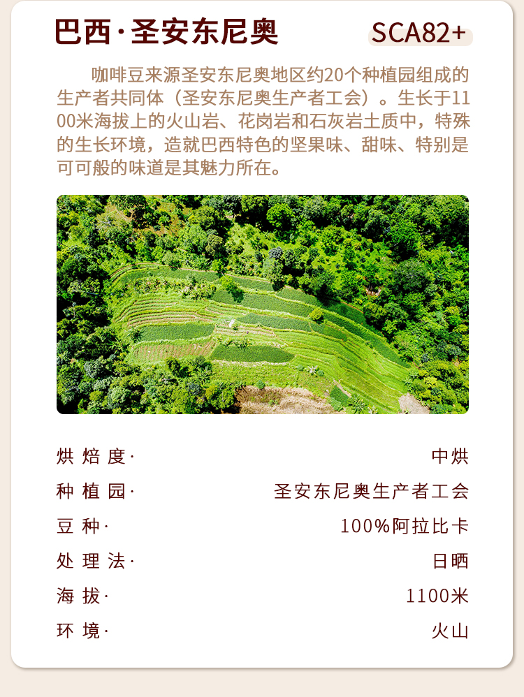 巴西挂耳咖啡SCA80+精品咖啡12g*10(图3)